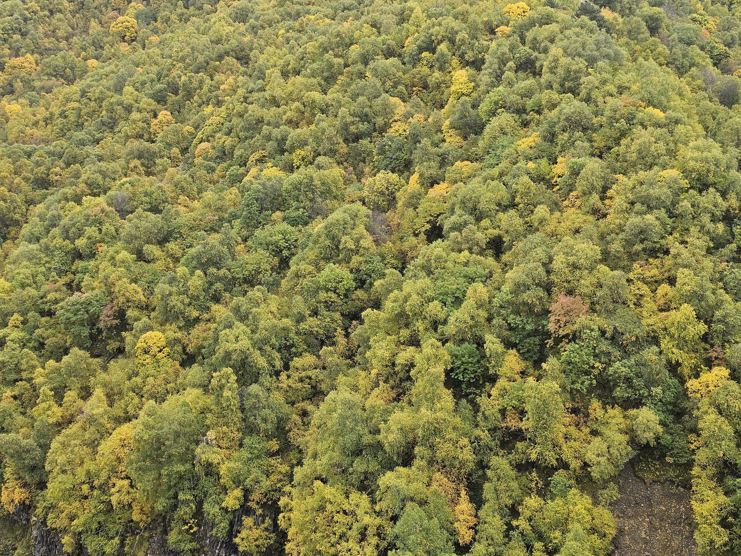 Trekking from Adishi to Iprali Svaneti highlands