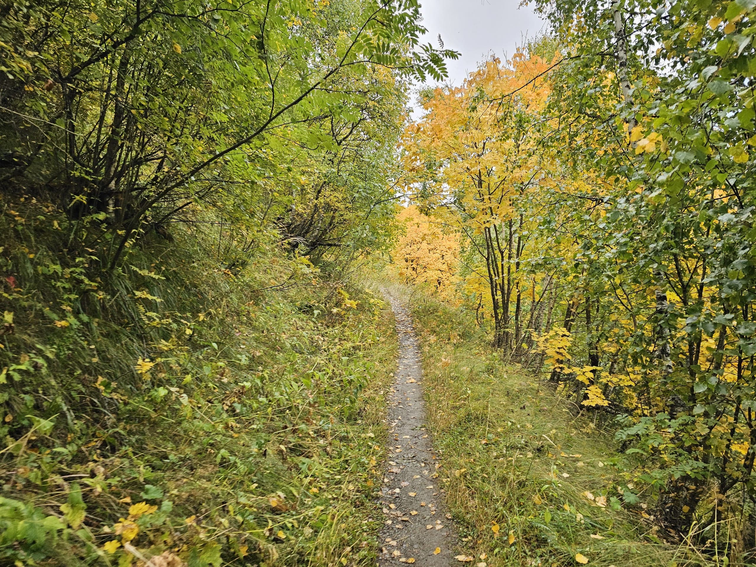 Trekking from Iprali to Ushguli Svaneti