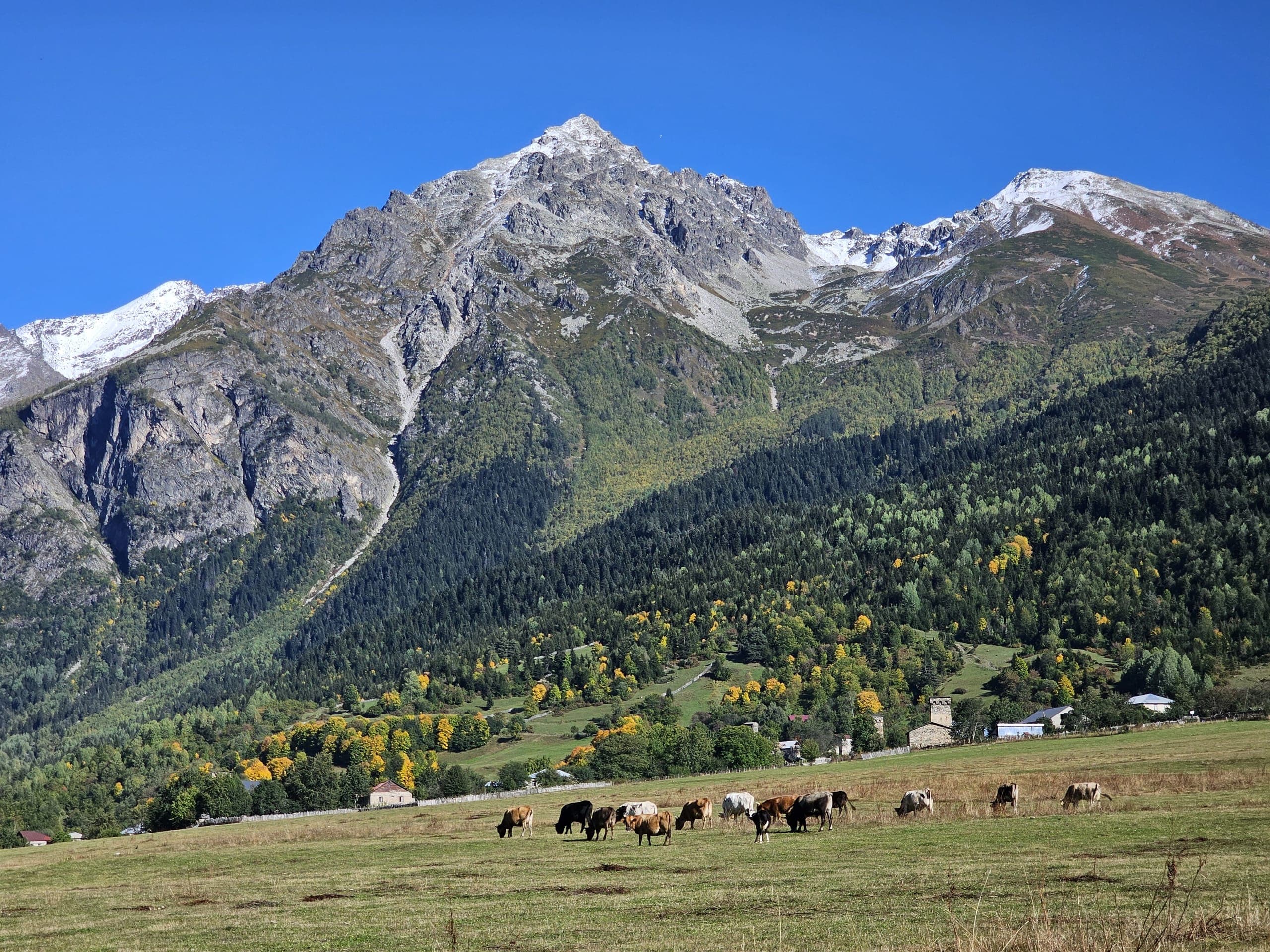 Mountain views on Mestia to Zhabeshi trek Svaneti