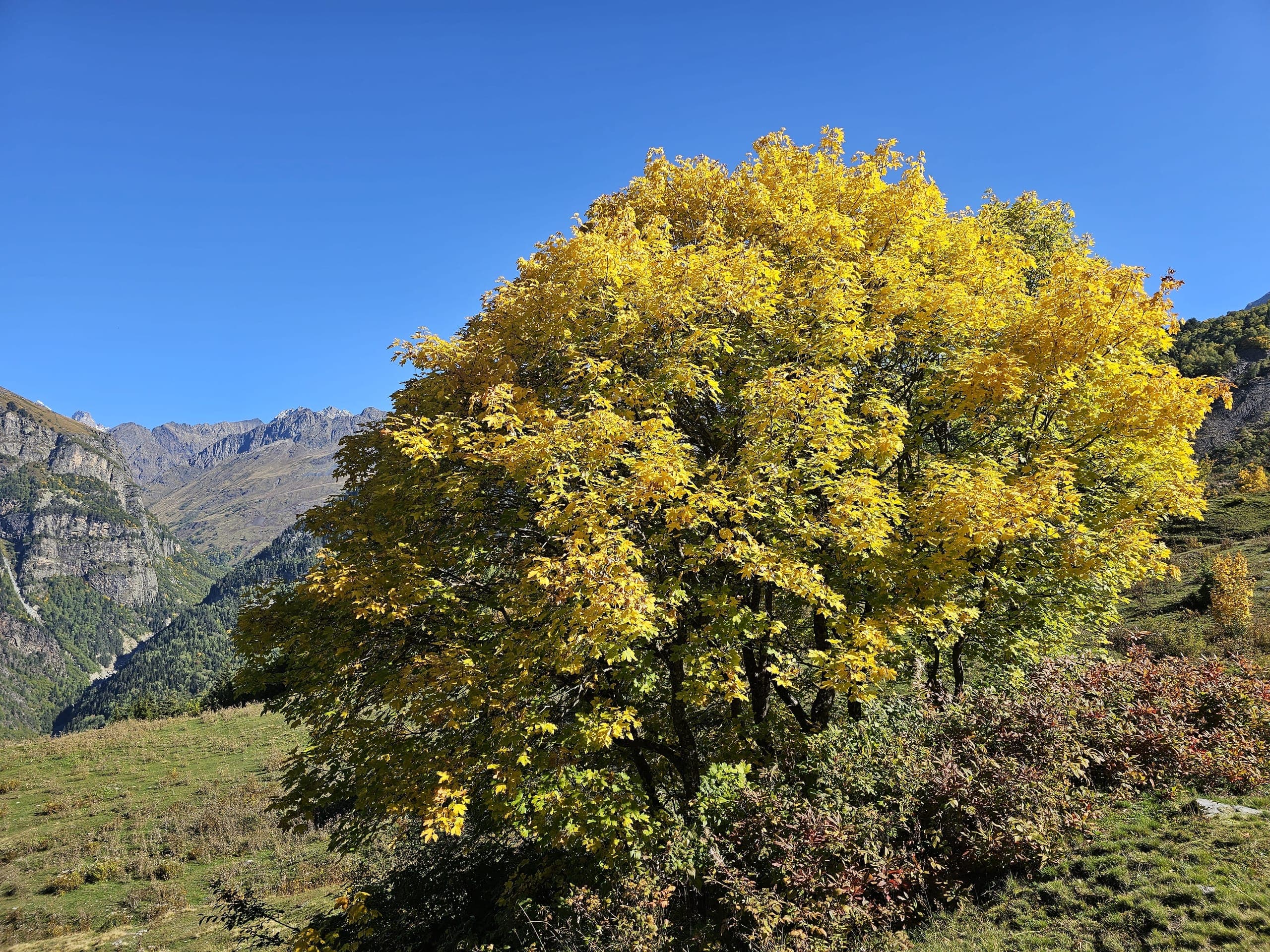 Kutaisi city in Imereti region Georgia