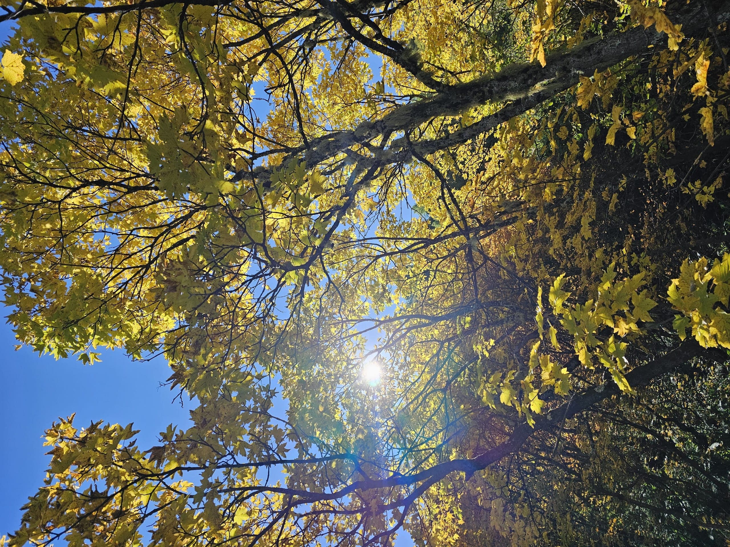 Kutaisi city in Imereti region Georgia