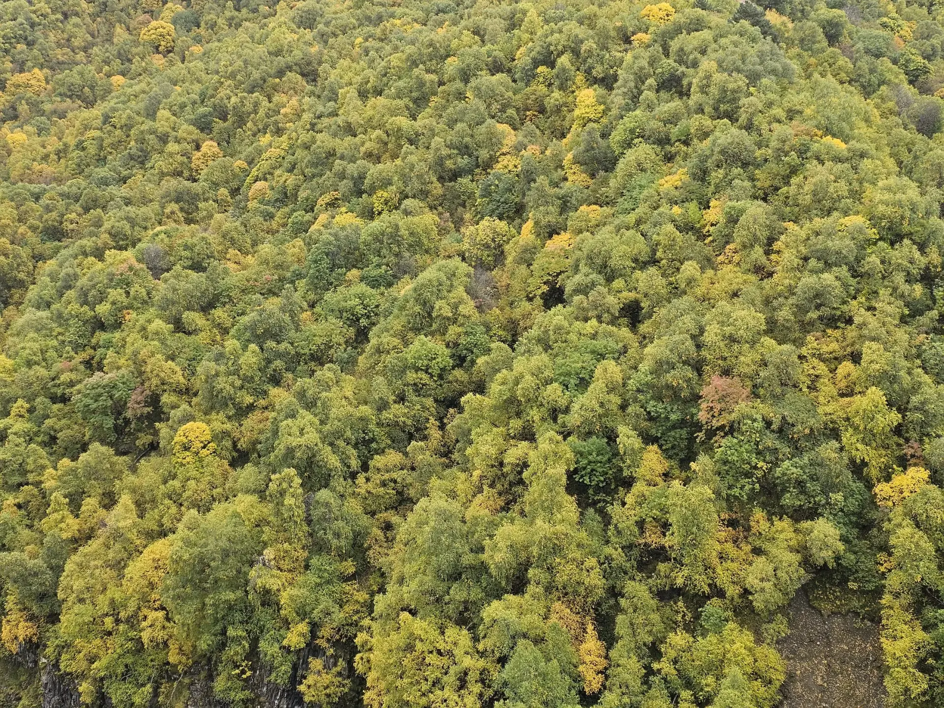 Trekking from Adishi to Iprali Svaneti highlands
