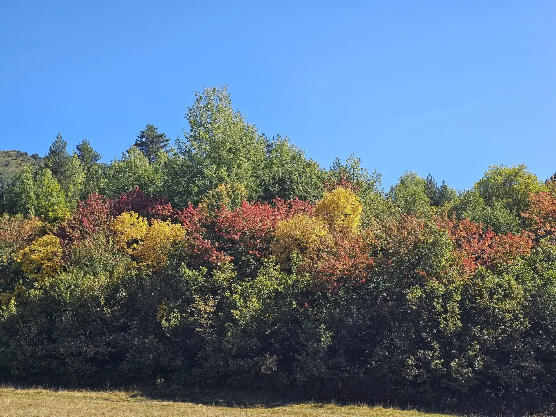 Hiking trail from Mestia to Zhabeshi village Svaneti